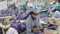 Giảm tối đa thủ tục cho doanh nghiệp xuất nhập khẩu