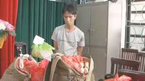 Cất giấu pháo trên xe container vẫn bị “tóm”