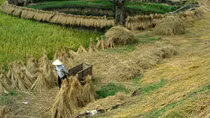 13 tỉnh chung tay bảo vệ tài nguyên
