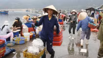 Cửu vạn miền chân sóng