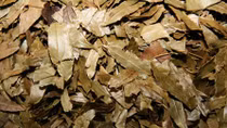 Bi hài… dâm dương hoắc