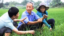 Người giúp nông dân 'bắt mạch' vụ mùa
