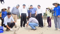 Loại bỏ thuỷ triều đỏ, nghiêng về độc tố hoá học 