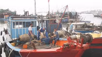Vươn khơi, bám biển Hoàng Sa mùa cuối năm 