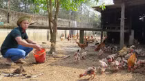 Làm giàu nhờ nuôi ba ba, cá nước ngọt