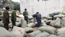 Hơn 10 tấn dược liệu không nguồn gốc bị tóm tại cửa ngõ Thủ đô