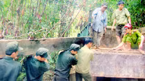 Số vụ phá rừng ở tỉnh Quảng Nam giảm