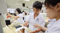 Chỉ nên cấp chứng chỉ nghề dược một lần