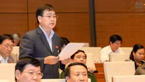Những hạt nhân chưa hợp lý của mô hình tranh tụng trong tố tụng hình sự