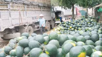 Gửi tiền tiết kiệm, người bán dưa hấu trở thành tỷ phú