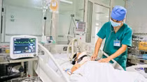 Trâu điên tấn công, 2 người nguy kịch 