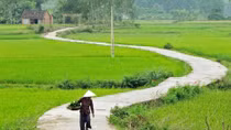 Trong lặng im những mùi...