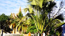 Độc đáo Sa - tra Thất Sơn