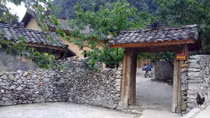 Chuyện người đàn bà “nuôi con tu hú” trong phim “Chuyện của Pao”