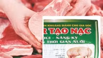 Bi hài hay bi kịch: Nhập 6 tấn Salbutamol nhưng chỉ có 10kg sử dụng đúng quy định!?