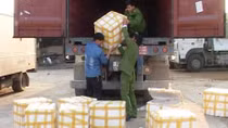 Bắt giữ gần 4 tạ cá nheo lậu Trung Quốc đang trên đường về xuôi