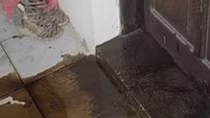 Nửa đêm mang dầu luyn và mắm tôm đi đòi nợ