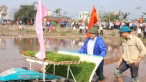 Lãnh đạo TP Hà Nội xuống đồng cấy lúa khai xuân