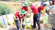 100.000 lượt thanh niên tham gia 5 chiến dịch tình nguyện hè 2016 TP HCM