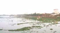 Bèo lục bình “bủa vây” con sông đẹp nhất xứ Huế