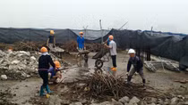 Vụ chủ cao ốc 8B Lê Trực “xin giữ nguyên sai phạm”: Đừng để pháp luật thành trò đùa