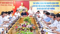 Khẩn trương xác định nguyên nhân hải sản chết bất thường