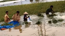 Ninh Bình khẩn trương khắc phục hậu quả mưa lũ