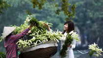 Miền Bắc dịu mát, miền Trung nắng nóng