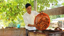 Những sản vật đem lại bạc tỷ ở vùng Cùa