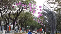 Hà Nội đề xuất tổ chức thi chọn thiết kế trang trí chiếu sáng