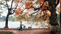 Bắc Bộ duy trì thời tiết hanh khô, nguy cơ cao cháy rừng