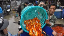 Nhộn nhịp phiên chợ cá ông Công, ông Táo