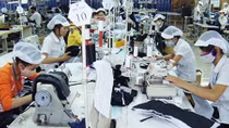 60% nợ bảo hiểm xã hội là từ doanh nghiệp ngoài quốc doanh