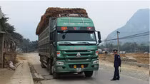Đình chỉ công tác Chánh Thanh tra Sở GTVT Thanh Hóa