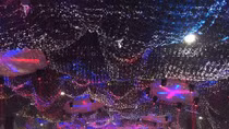 Festival âm nhạc bị đình chỉ vì 5 khán giả đột tử dưới sân do sốc ma túy