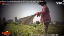 VTV bị phạt 50 triệu đồng vì đưa tin sai trong phóng sự “Cây chổi quét rau”