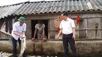 Nhà máy đường Hòa Bình đền bù hơn 1,4 tỷ đồng cho bà con nuôi cá trên sông Bưởi