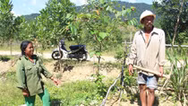 Nhiều công ty thủy điện chây ì việc trồng lại rừng thay thế