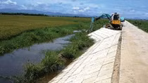 Hà Nội đầu tư 94 tỷ đồng gia cố đê điều