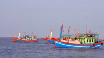 Hàng trăm tàu ngư dân Quảng Ngãi ra khơi “hái lộc” đầu năm
