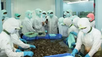 Trên 90% công nhân trở lại làm việc sau Tết