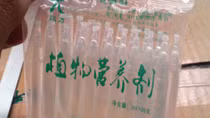 Tạm giữ hơn 1,6 tấn thuốc kích thích tăng trưởng giá đỗ