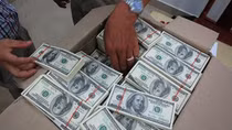 Mang 10.000 USD giả đến ngân hàng đổi tiền