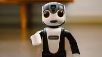 RoboHon, Robot kiêm smartphone