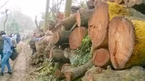  Trong quản lý đô thị, điều quan trọng là tầm nhìn, sự đồng thuận và minh bạch