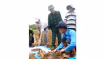 Đào móng làm nhà, tìm thấy nhiều hài cốt, di vật liệt sĩ