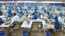 Nên hành xử thế nào với TPP?
