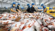 Mỹ tiếp tục áp thuế chống bán phá giá với cá tra Việt Nam