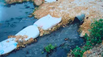 Suối Bến Ván ô nhiễm trầm trọng