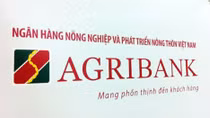Agribank vào Top 10 doanh nghiệp tín nhiệm nhất Việt Nam